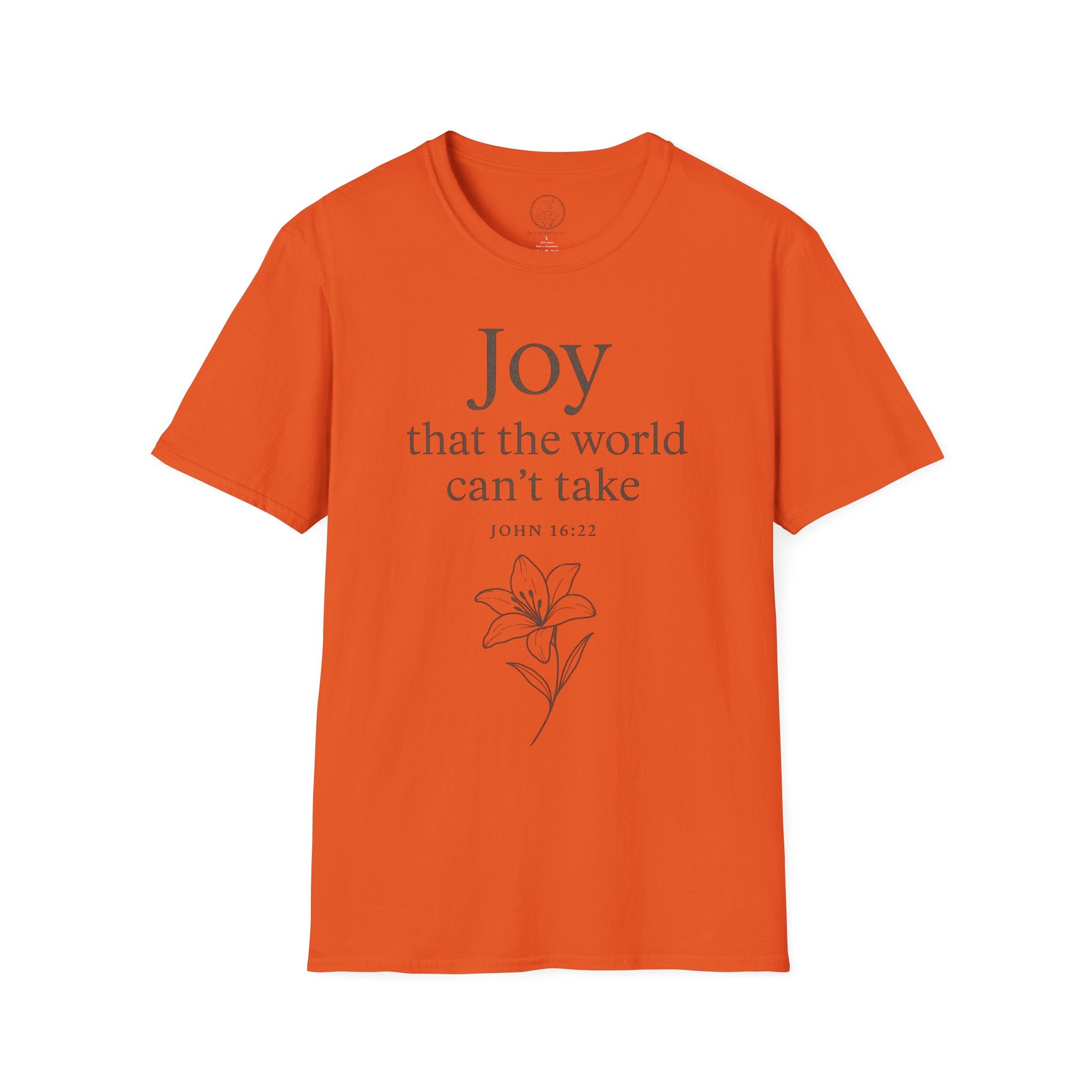 Joy That the World Can’t Take — John 16:22 Tee